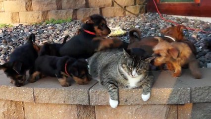 ¡¡¡ ESTO ES TENER PACIENCIA !!! .... 