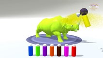 Fun Learning Colors with Animals  Colors Spray Bottles Educational Videos