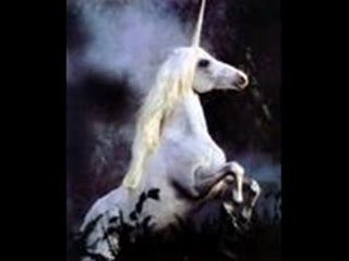 Neo cortex dont you unicorn photo show mix