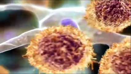 Introduction to Cells http://BestDramaTv.Net