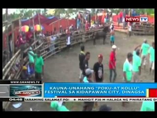 15 pares ng kabayo, isinabak sa horsefighting bilang bahagi raw ng tradisyon ng tribung manobo