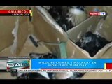 Wildlife crimes, tinalakay sa World Wildlife Day