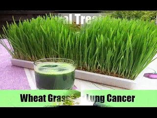 10 Best Natural Treatments For Lung Cancer