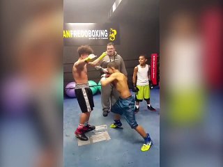 Ce petit boxer tape vraiment très fort !