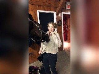 Ce cheval a trouvé un nouveau jeu assez drôle !