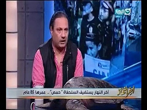 جابر القرموطى يقبل سلحفاة على الهواء بـ آخر النهار ومدير المحميات الطبيعية: ثروة قومية