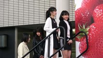 LEGIT　avex artist academy福岡校　あまおう祭り　2017/2/26