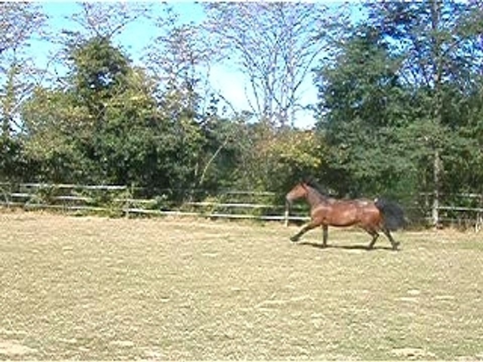 Nana et Couillasse qui font la course