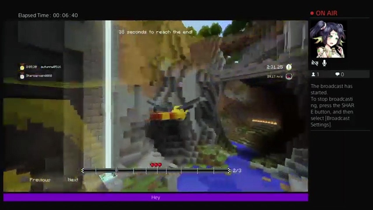 Minecraft (19)