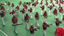 市立柏  2015 All Japan Marching Band Contest