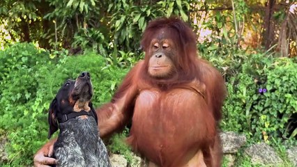 Tout le monde doit voir cette vidéo!