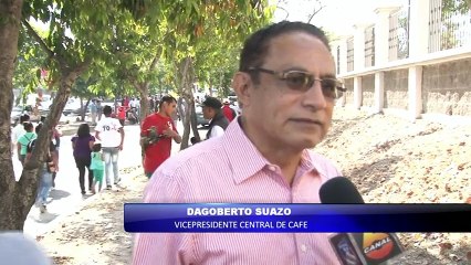 La roya continua amenazando a cafetaleros