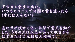 【修羅場】救助犬の訓練を受けていたうちの犬が公園のジャングルジム手前で吠え出した【2ちゃんねる@修羅場・浮気・因果応報etc】