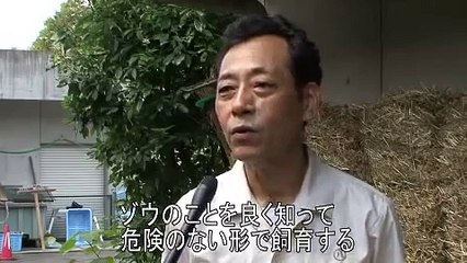 ドキュメンタリー 東山ゾウ物語～出産・飼育の舞台裏～