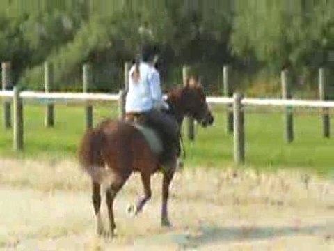 Reprise galop 3
