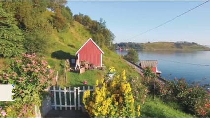 Karaoke Xuân Này Con Không Về - Nhạc Sống Mới Nhất Tuyển Chọn