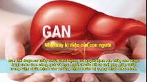 Livsin94.vn | Chữa viêm gan siêu vi B với bài thuốc của Ni sư ở Đồng Nai