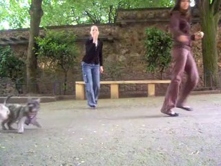 Meilleure amie loloetth