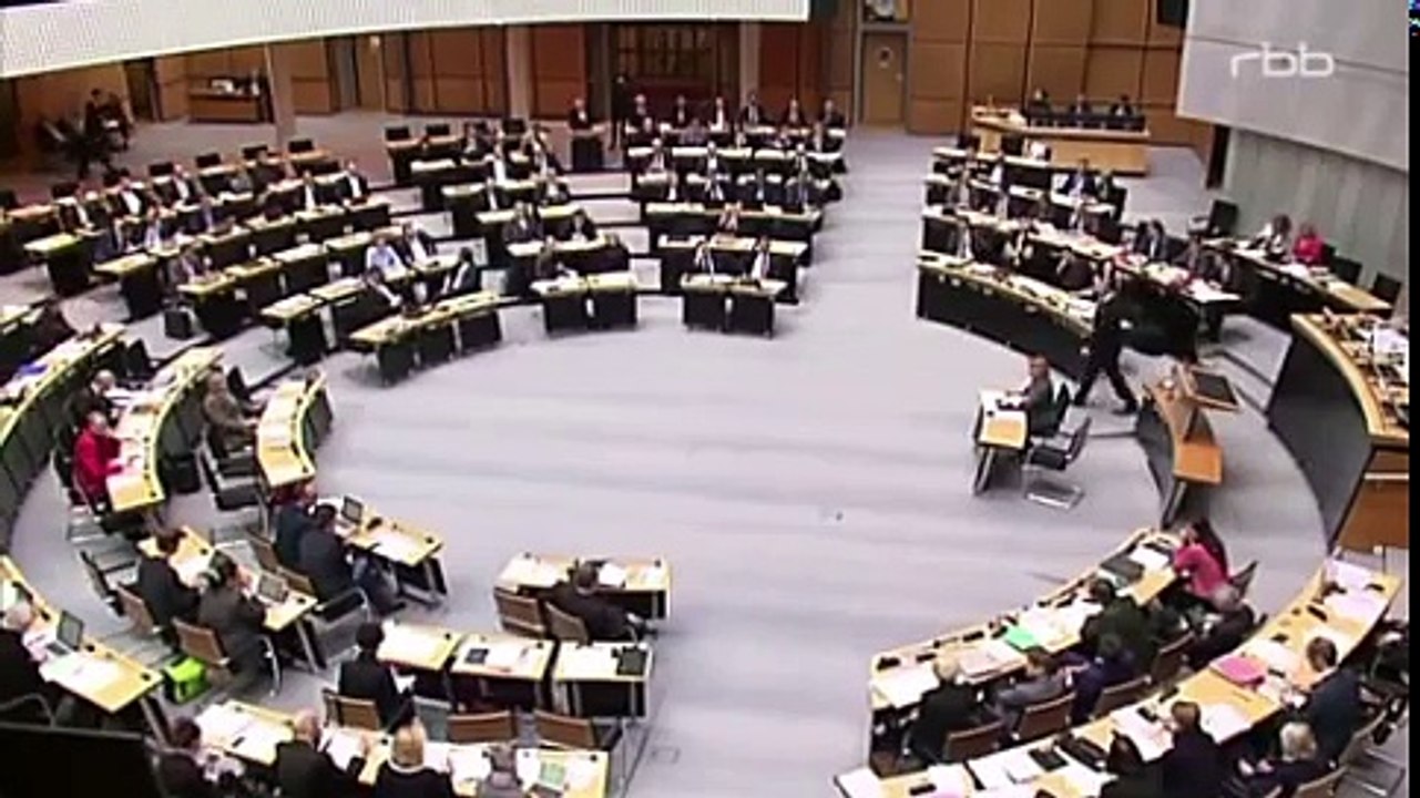 Gruner pobelt im Abgeordnetenhaus uber AfD 'Einsperren ware besser'