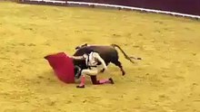 Campo Pequeno 6.4.2017