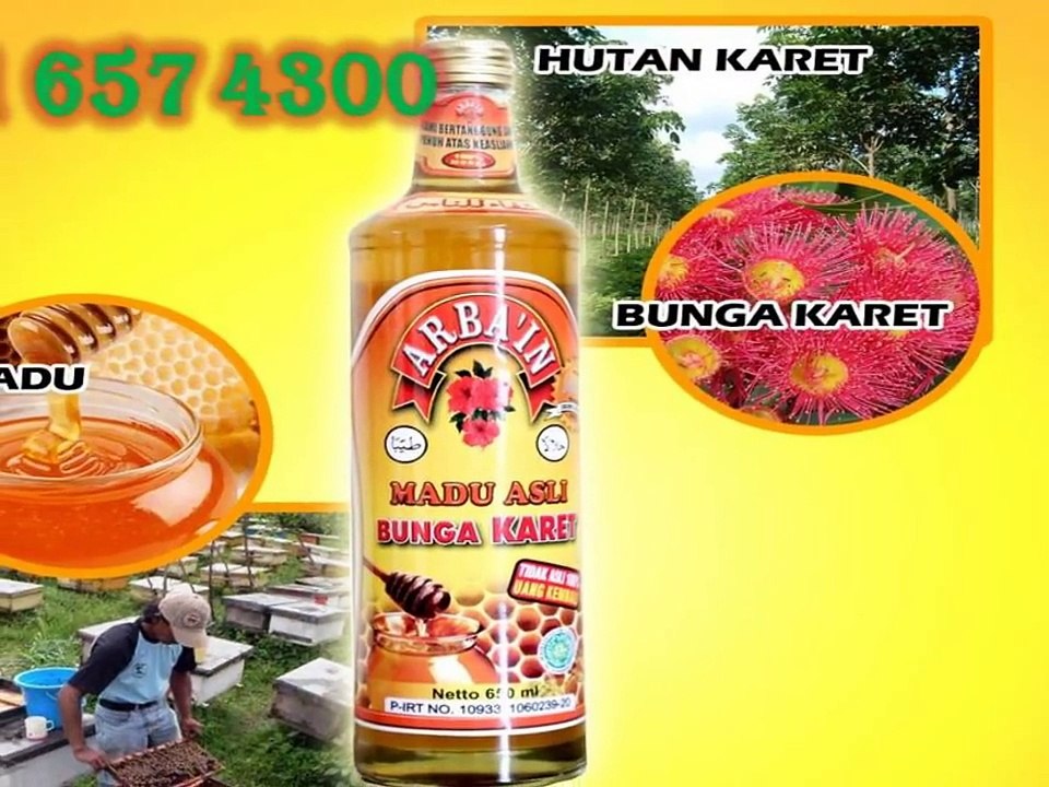0816574300 (Indosat) Jual Madu Tulang Asli