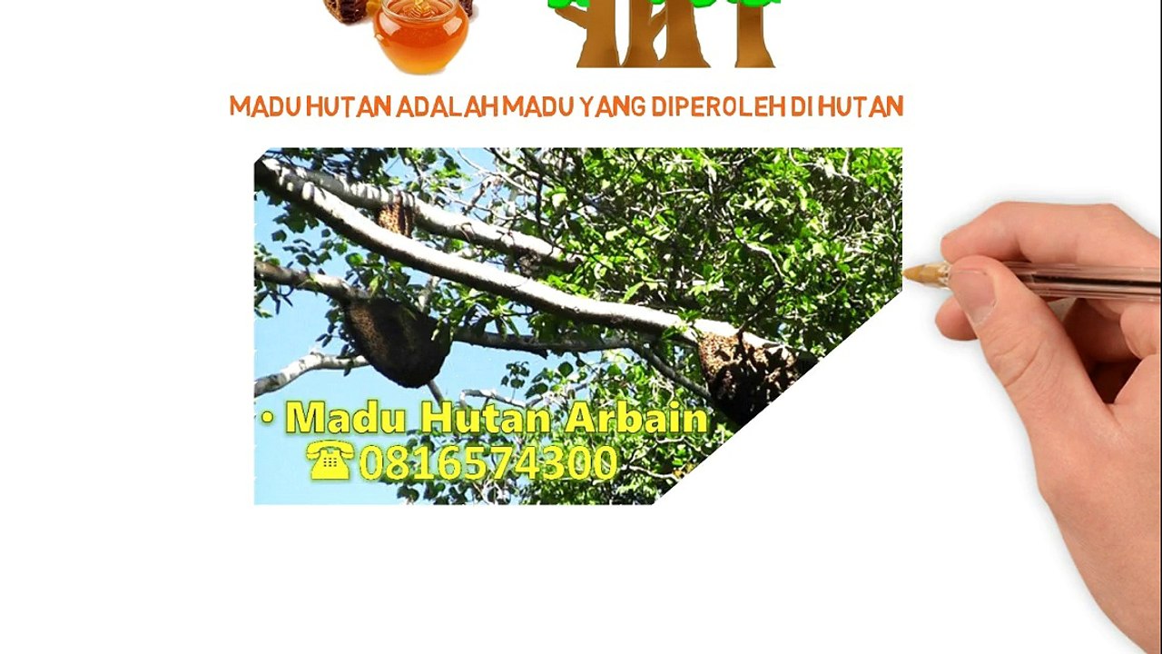 0816574300 Jual Madu Asli Ternak