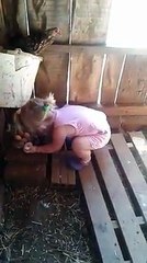 Bu nasıl Bir Cesaret küçük hanım :)