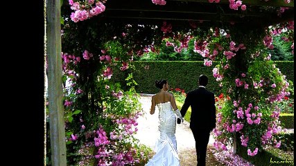 cheb Sofiane elbaidhi (ia jara) , الشاب سفيان البايضي (يا جارة)