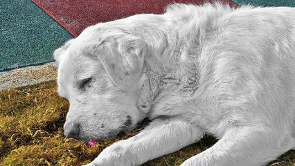 「아 달」 강릉오피 강릉건마 강릉휴게텔 강릉키스방 강릉마사지