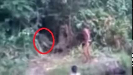 Strange creature found in Brazil