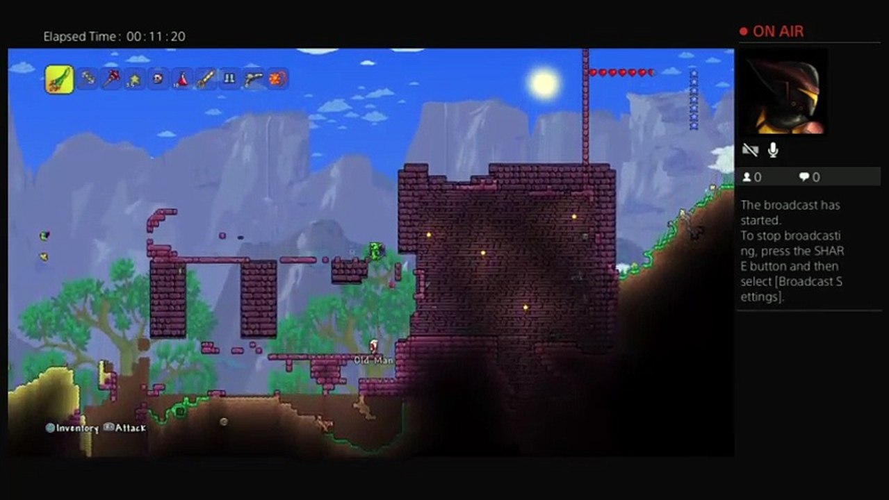 Terreria (9)