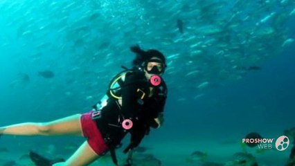 Scuba Diving in Cabo Pulmo
