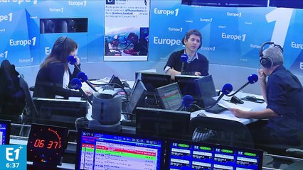 Des animaux sauvages en hologramme lâchés dans les rues de Paris