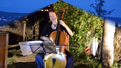 Concert de Patrick Beaugiraud aout 2011