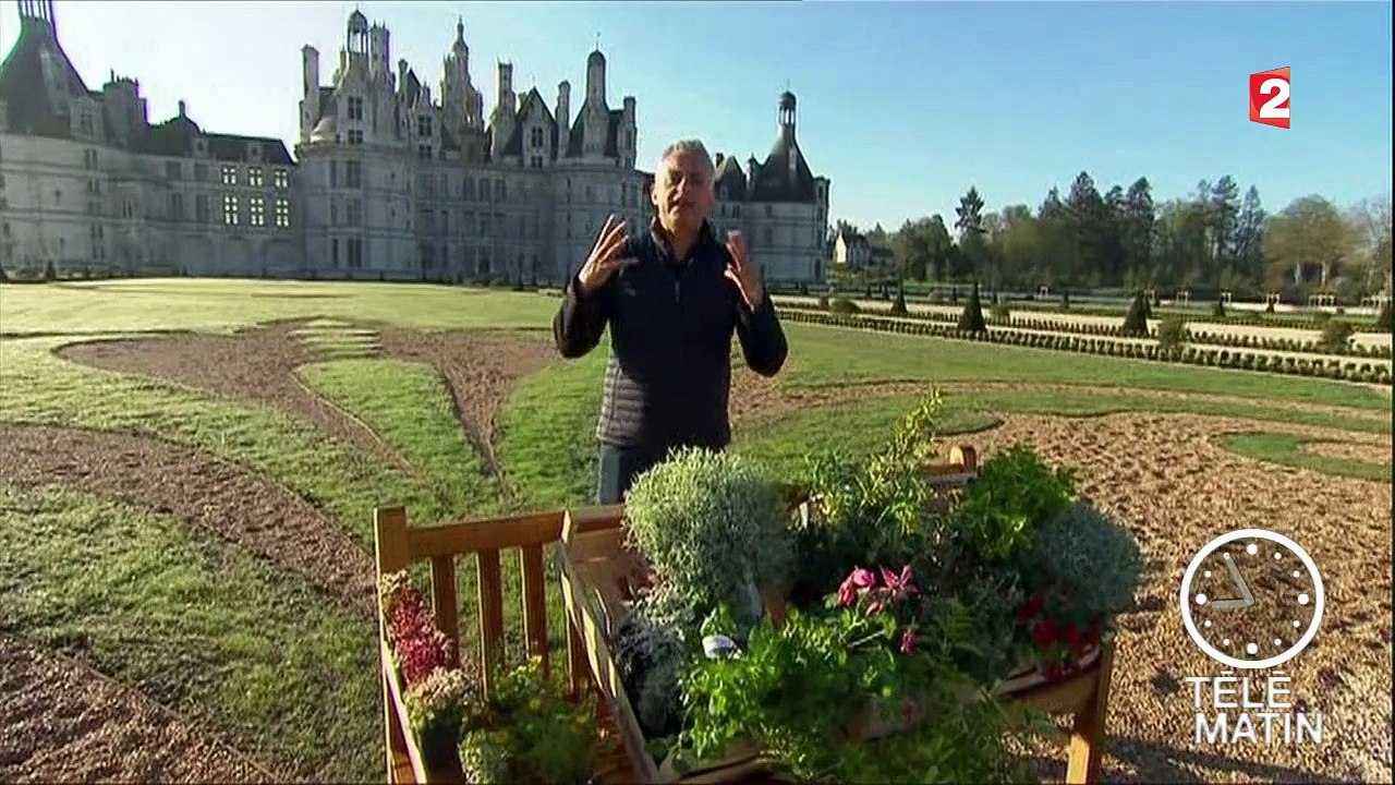 Jardin - Tapis vert à Chambord