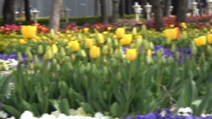 Çiçek Açan Park ve Tesisler 'Mutluluk Fotoğraflarının' Adresi Oldu