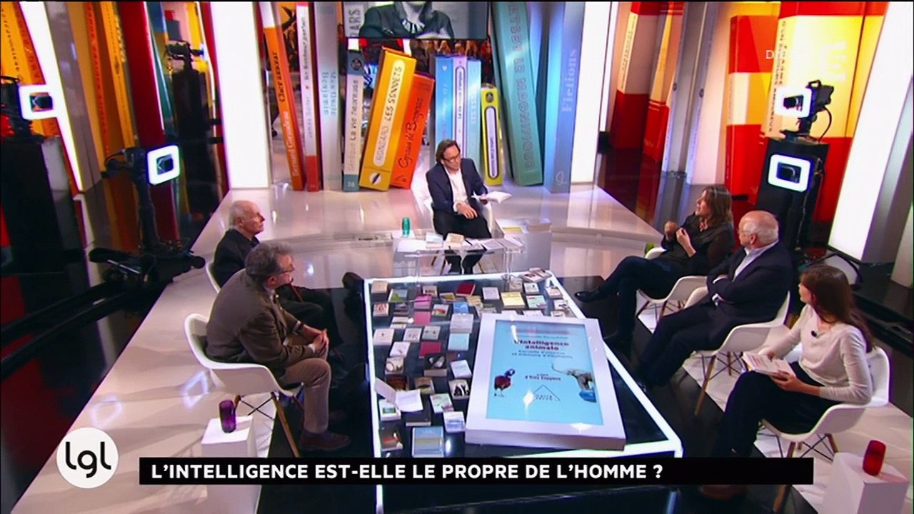 Emmanuelle Pouydebat publie «L'Intelligence animale»