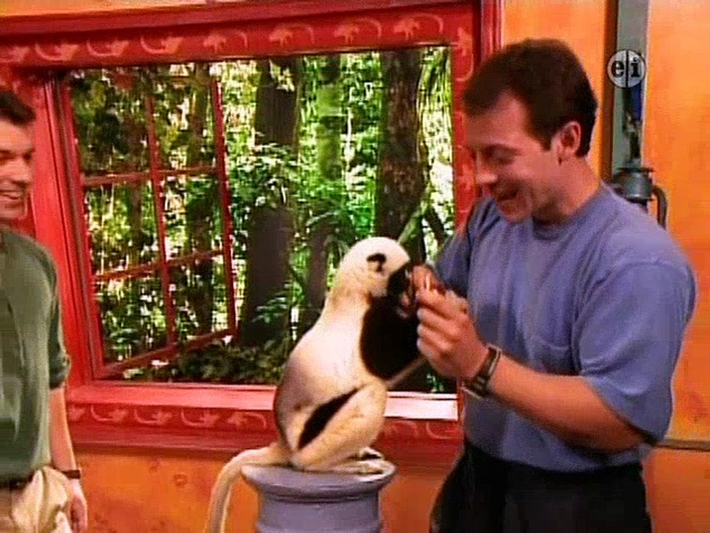 Zoboomafoo fast and slow