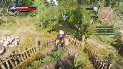 LETS PLAY: THE WITCHER 3 (14)