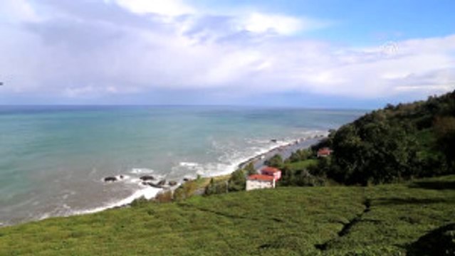 THY Genel Müdürü Ekşi: Türk Hava Yolları Geçmiş Yıllarda Olduğu Gibi Bu Yılda Büyümesine Devam...