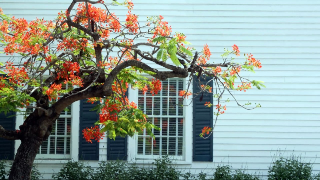 Stanek Construction - (774) 219-7998