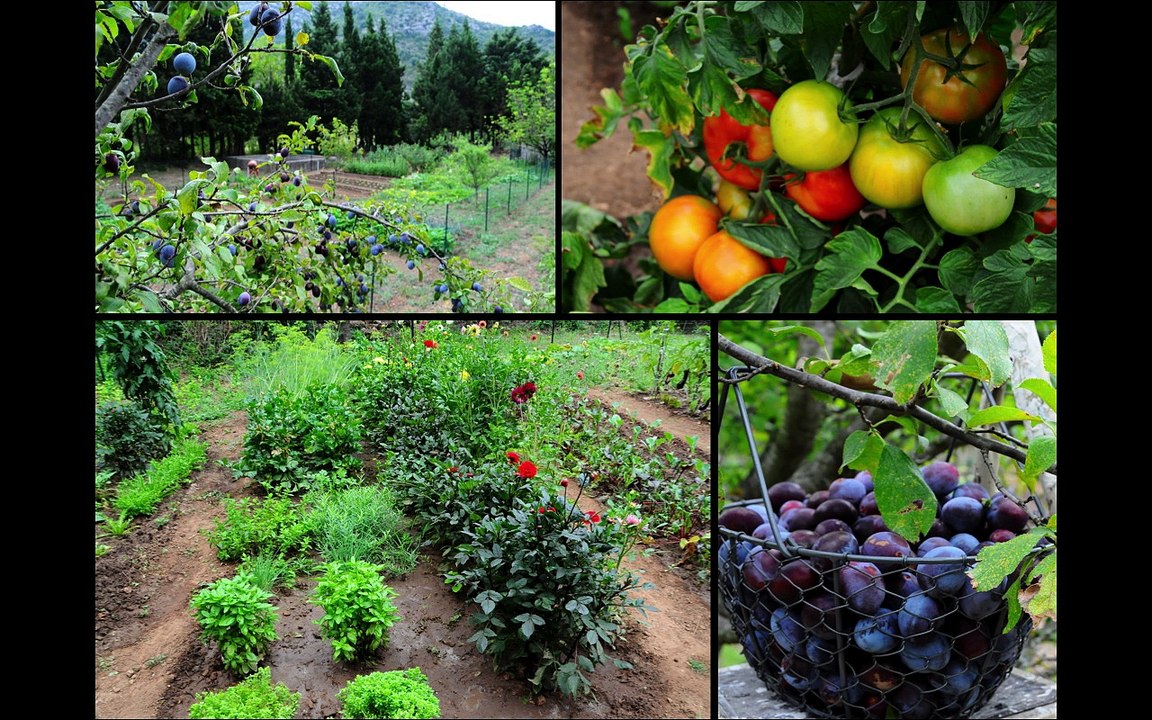 SAINT JEAN DE BUÈGES (34)