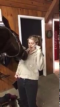 Un cheval s'amuse avec une fermeture éclair