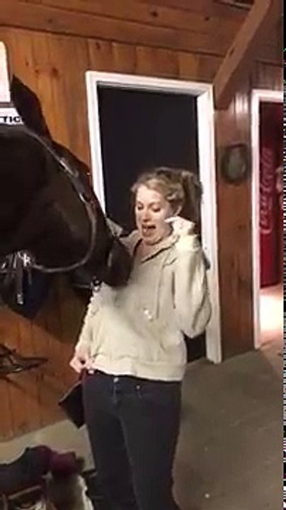 Un cheval s'amuse avec une fermeture éclair