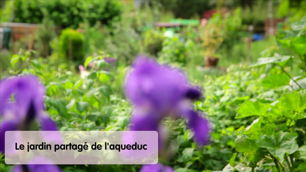 Paris s'adapte au changement climatique