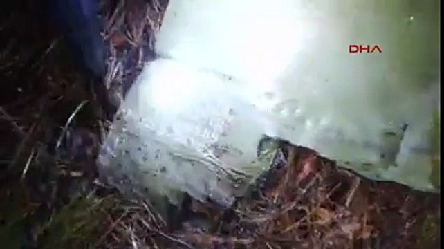Hatay'a düşen Suriye savaş uçağının pilotu tutuklandı