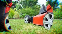 Looking for the Perfect Gardening Services in Rydalmere