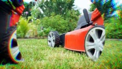 Looking for the Perfect Gardening Services in Rydalmere