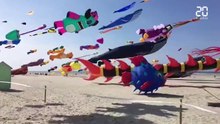 Découvrez l'un des spectacles les plus impressionnants : les Rencontres Internationales des Cerfs-Volants de Berck