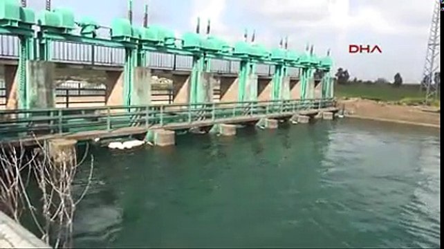 Sulama kanalına düşen 14 büyükbaş hayvan kurtarıldı